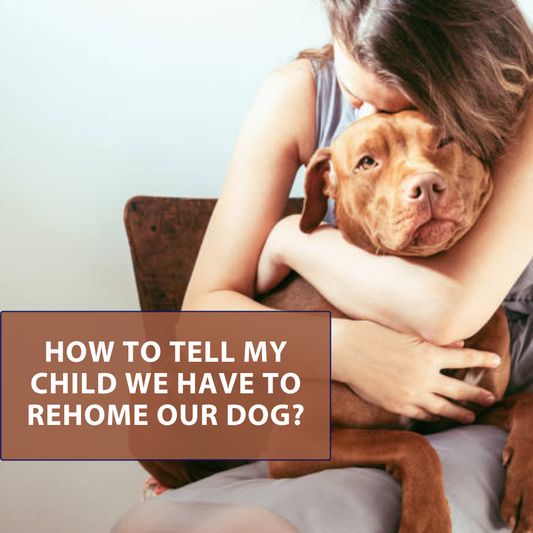 How Do I Tell My Child We Have to Rehome Our Dog?