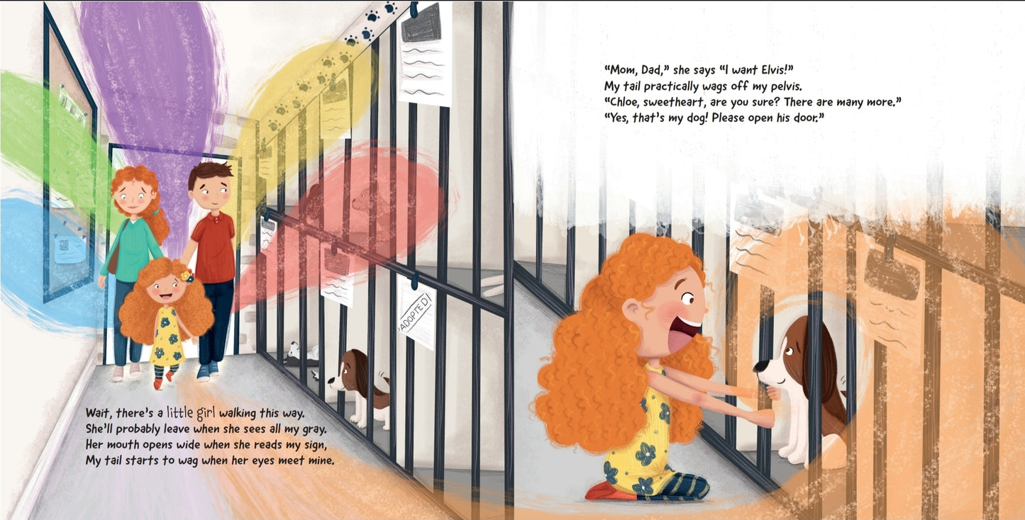 Donate Books to a Shelter (10 Hardcover Copies)