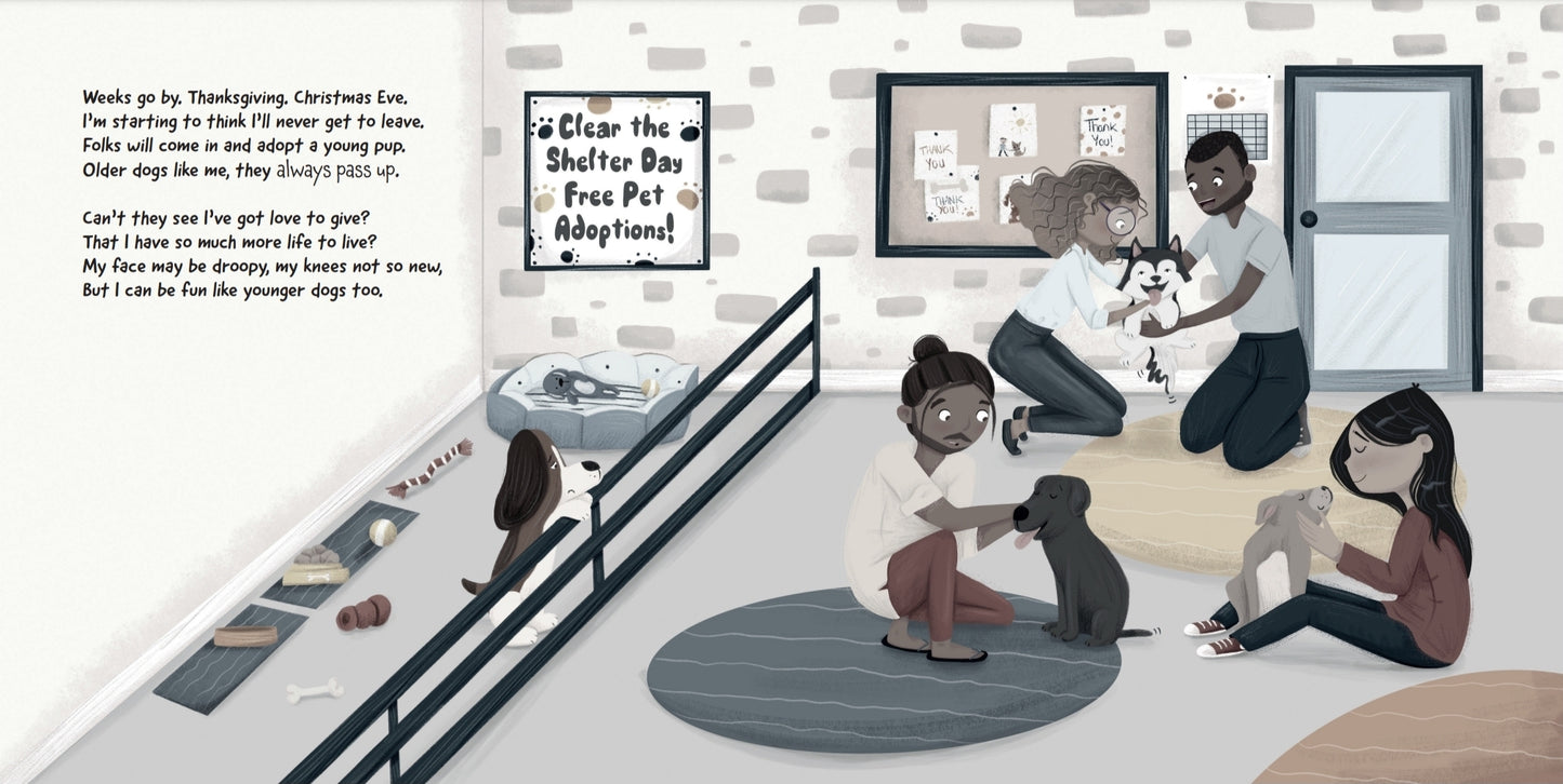 Donate Books to a Shelter (10 Hardcover Copies)