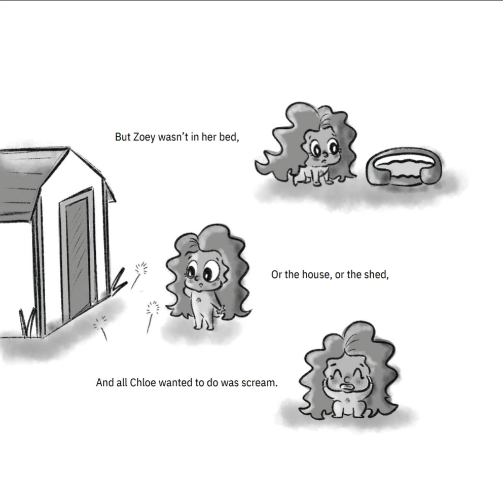 What Happened To Zoey? (Hardcover)